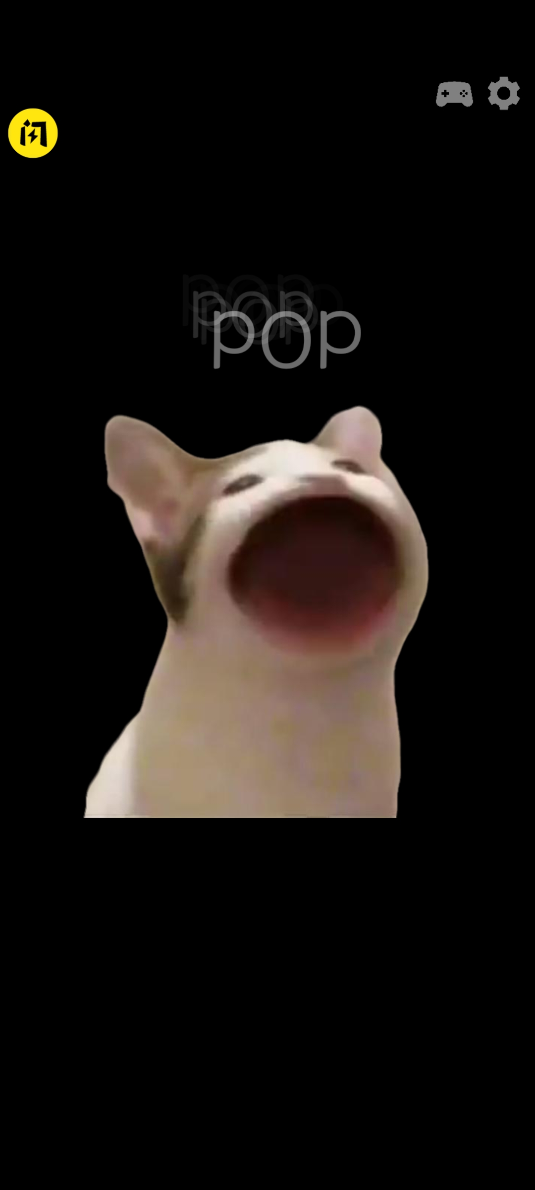 pop猫