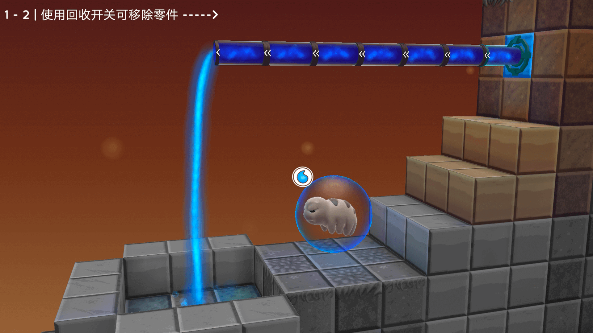 水熊