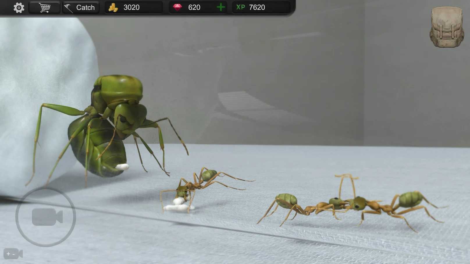 蚂蚁模拟大亨(辅助菜单)