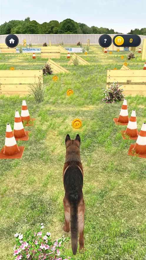 My Dog(狗模拟器)