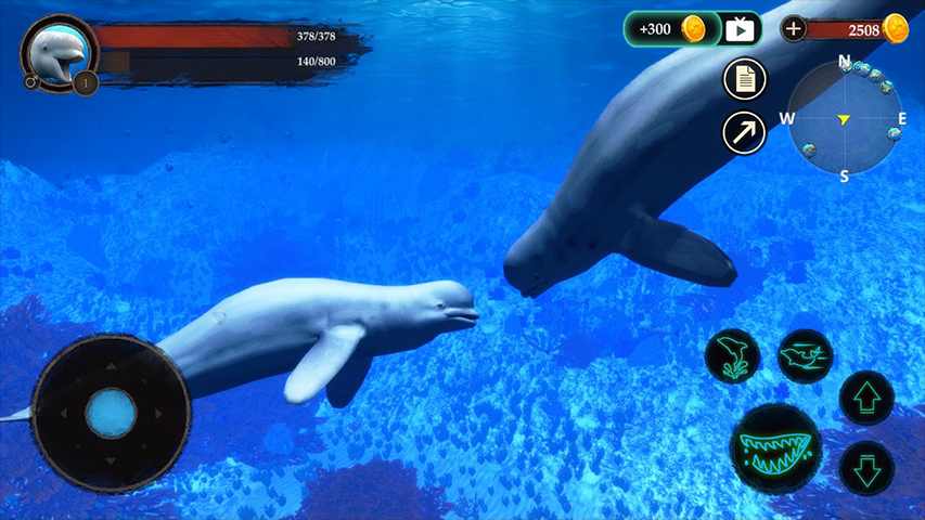 The Beluga Whale(白鲸模拟器)