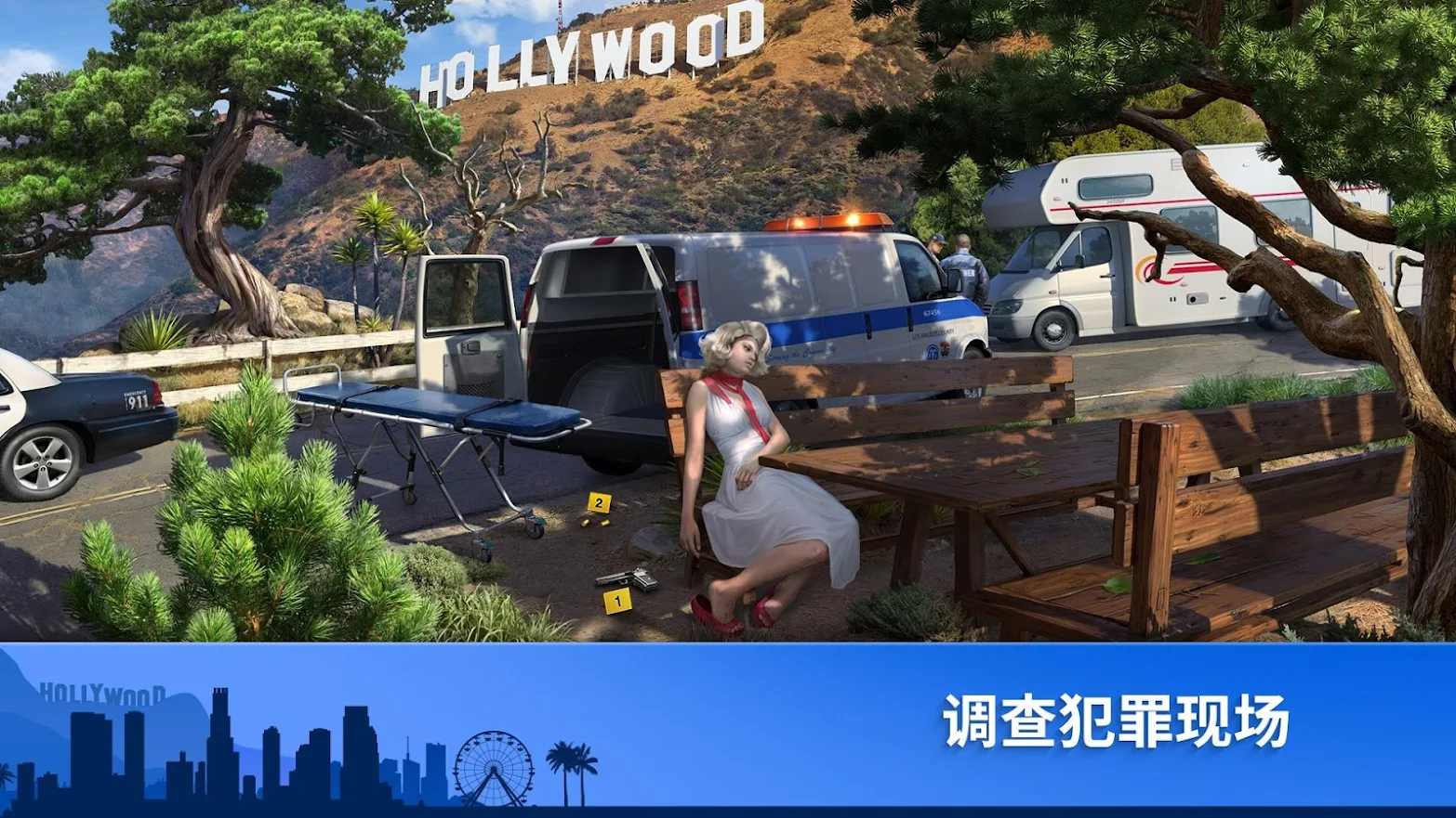 奇案之谜