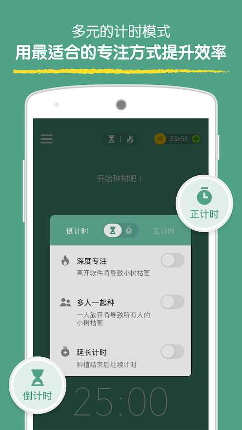 专注森林