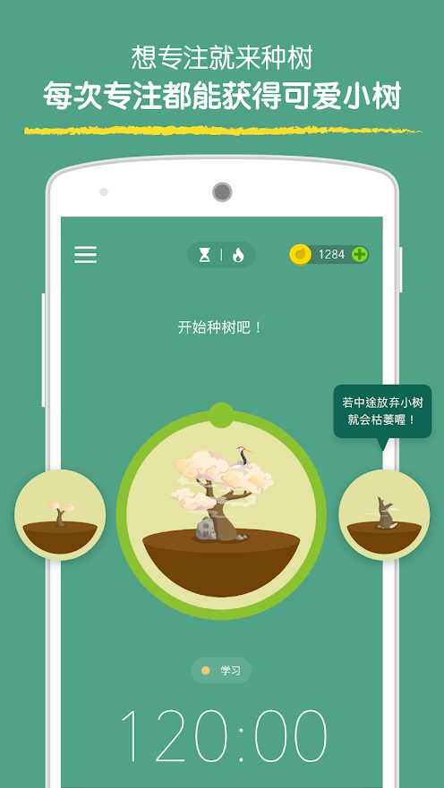 专注森林