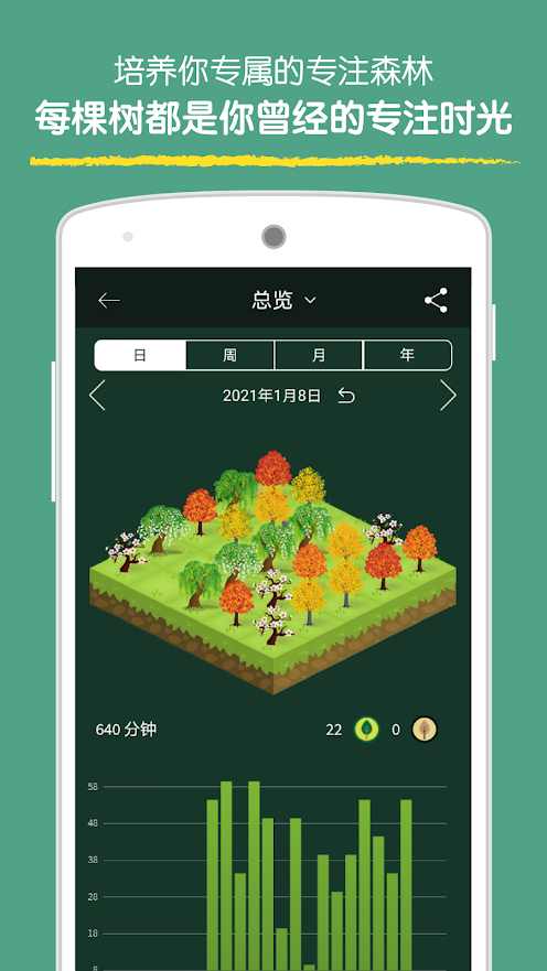 专注森林