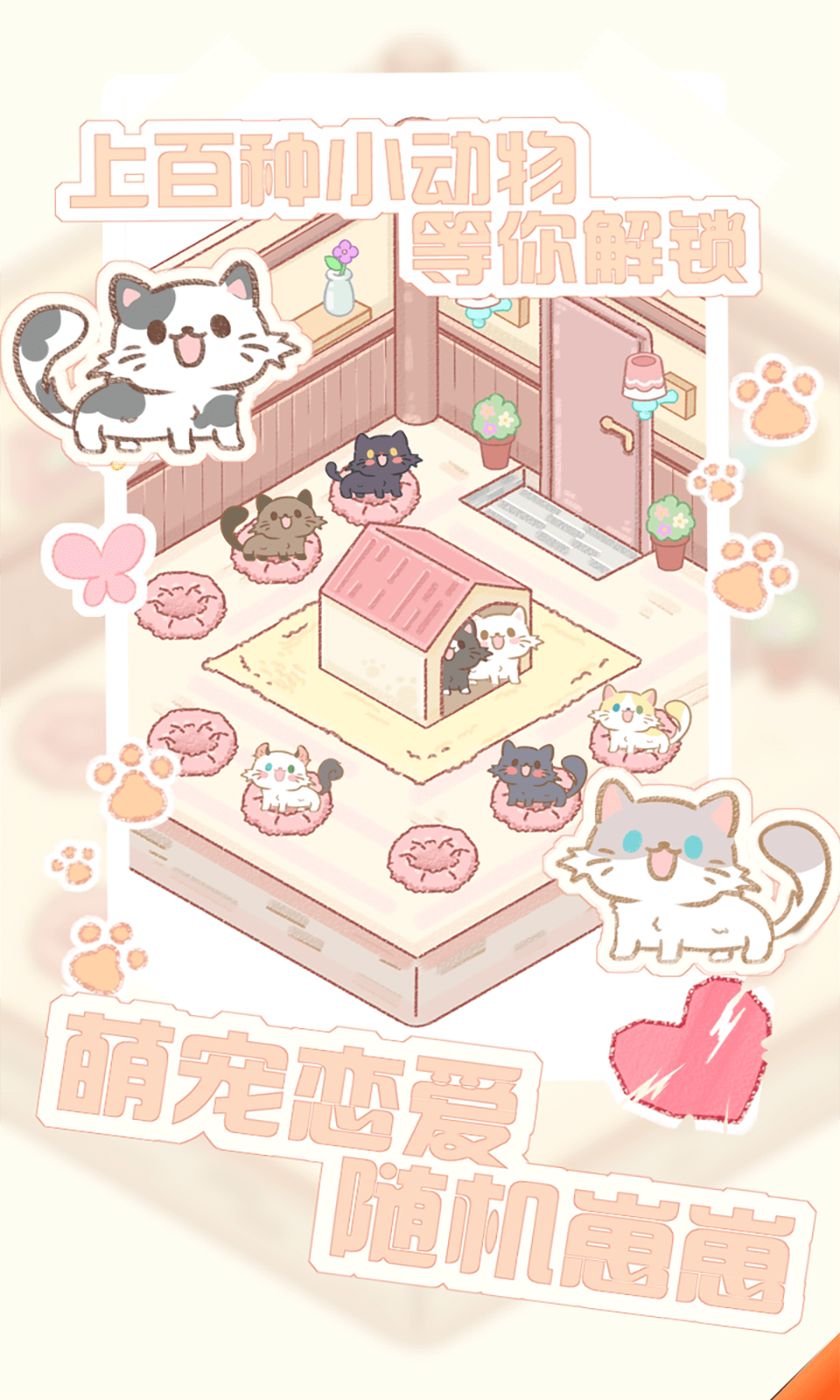 猫咪农场