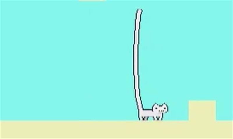 史上最鬼畜的猫