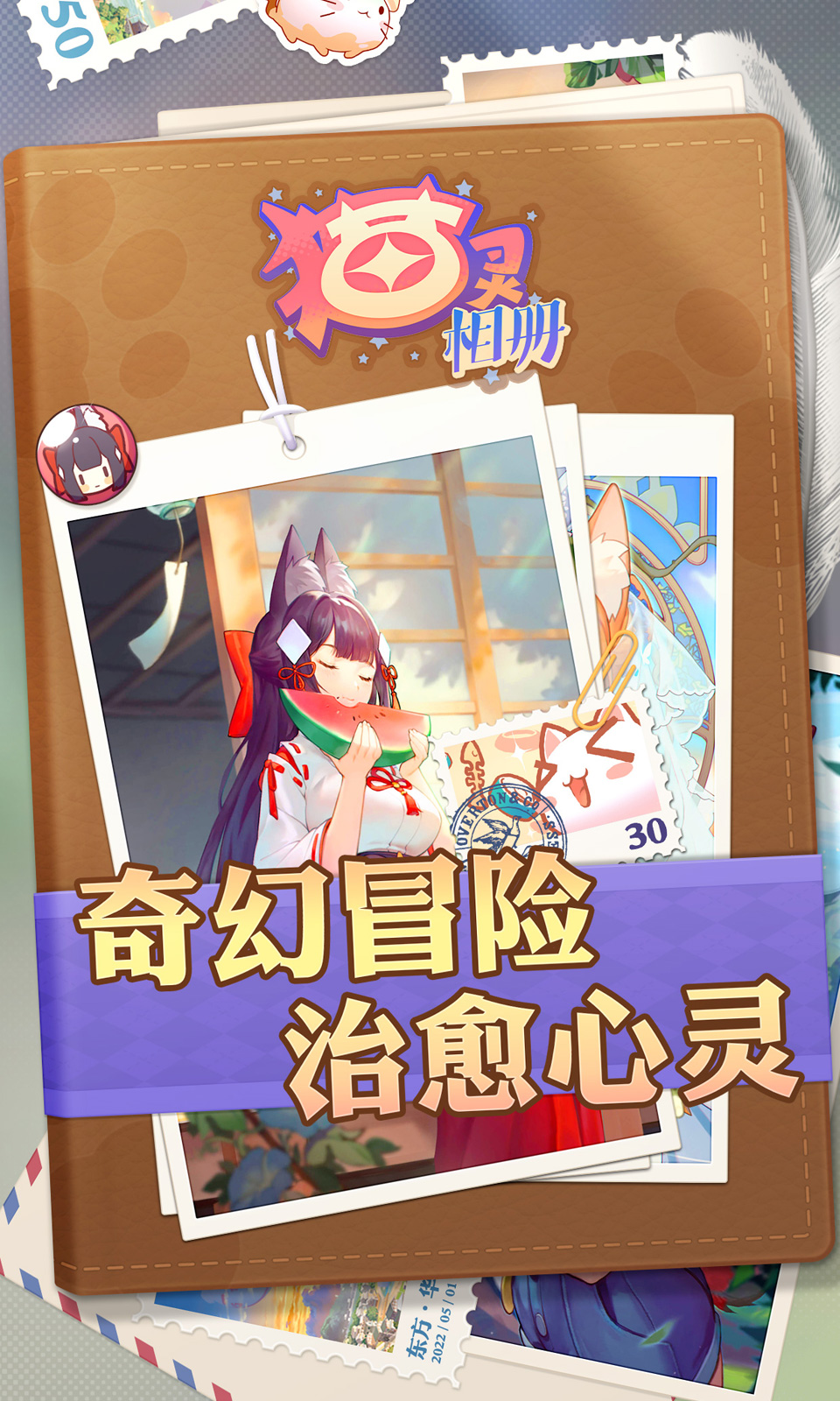 猫灵相册