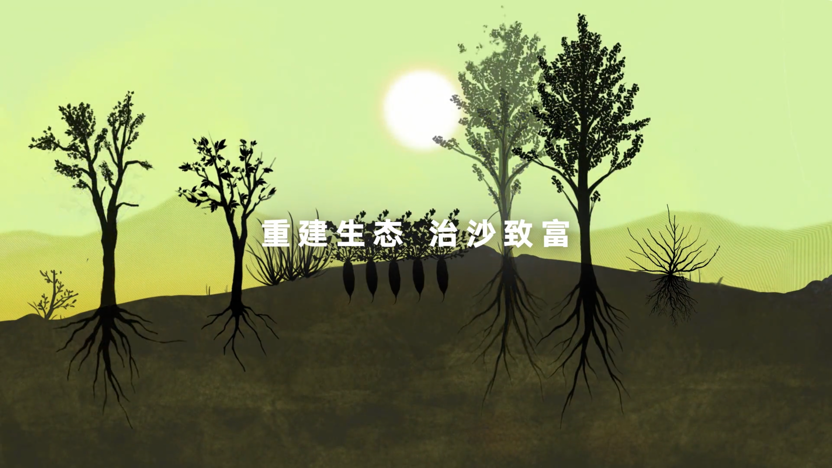 荒原林海