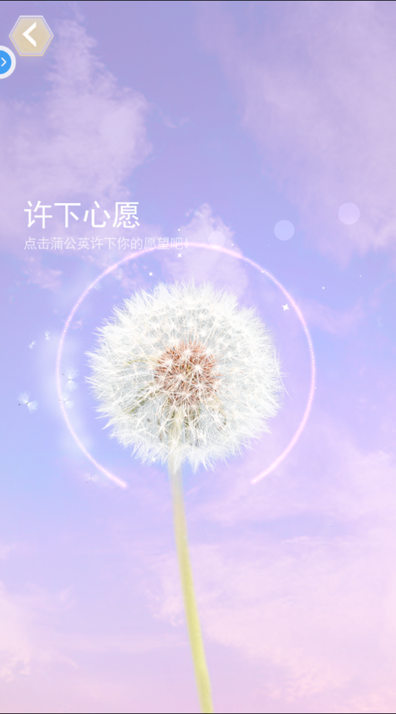 你好先生们