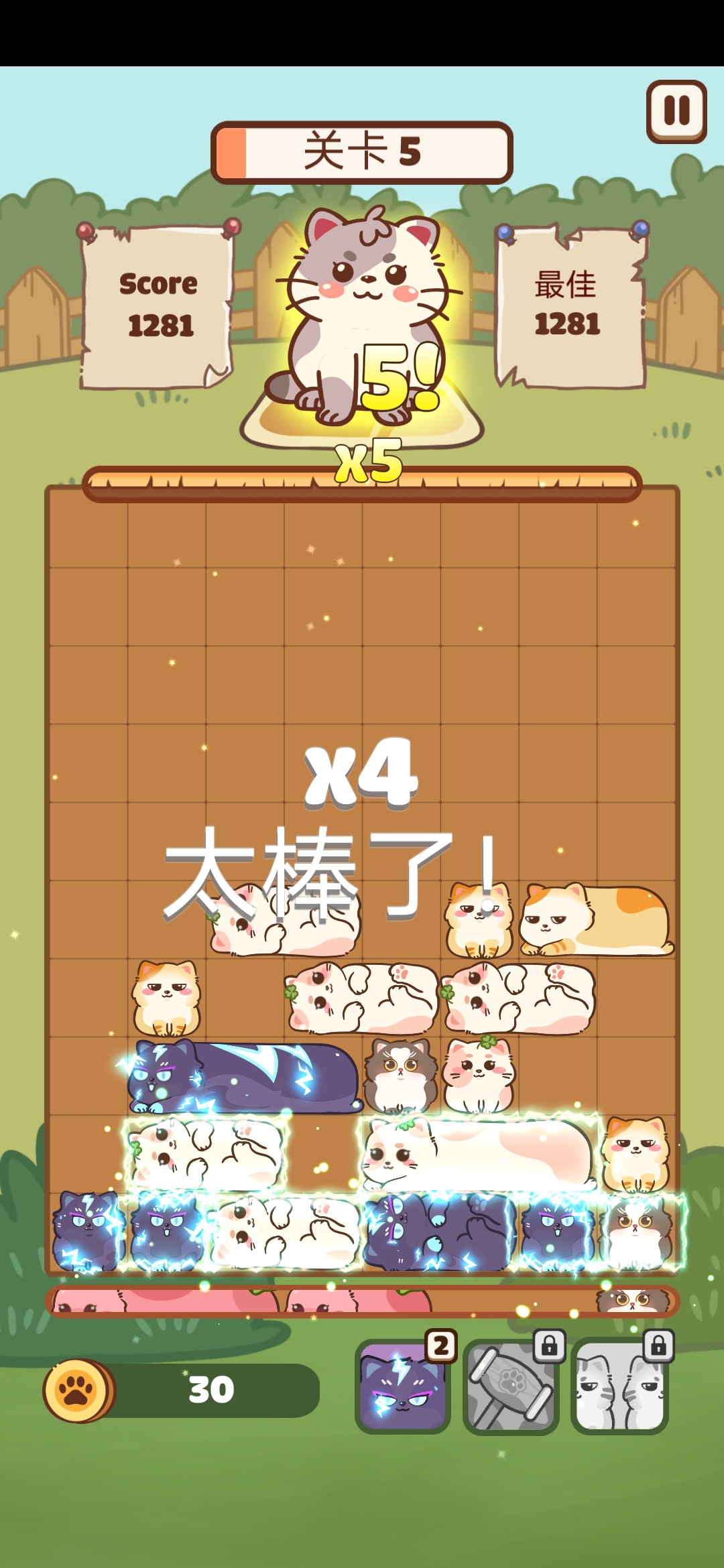滑猫