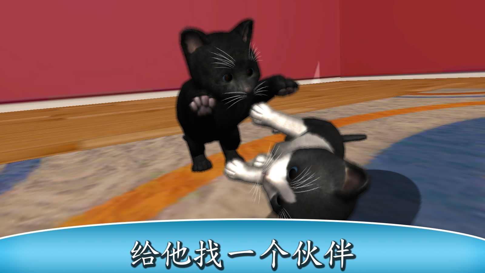 猫咪小宝贝