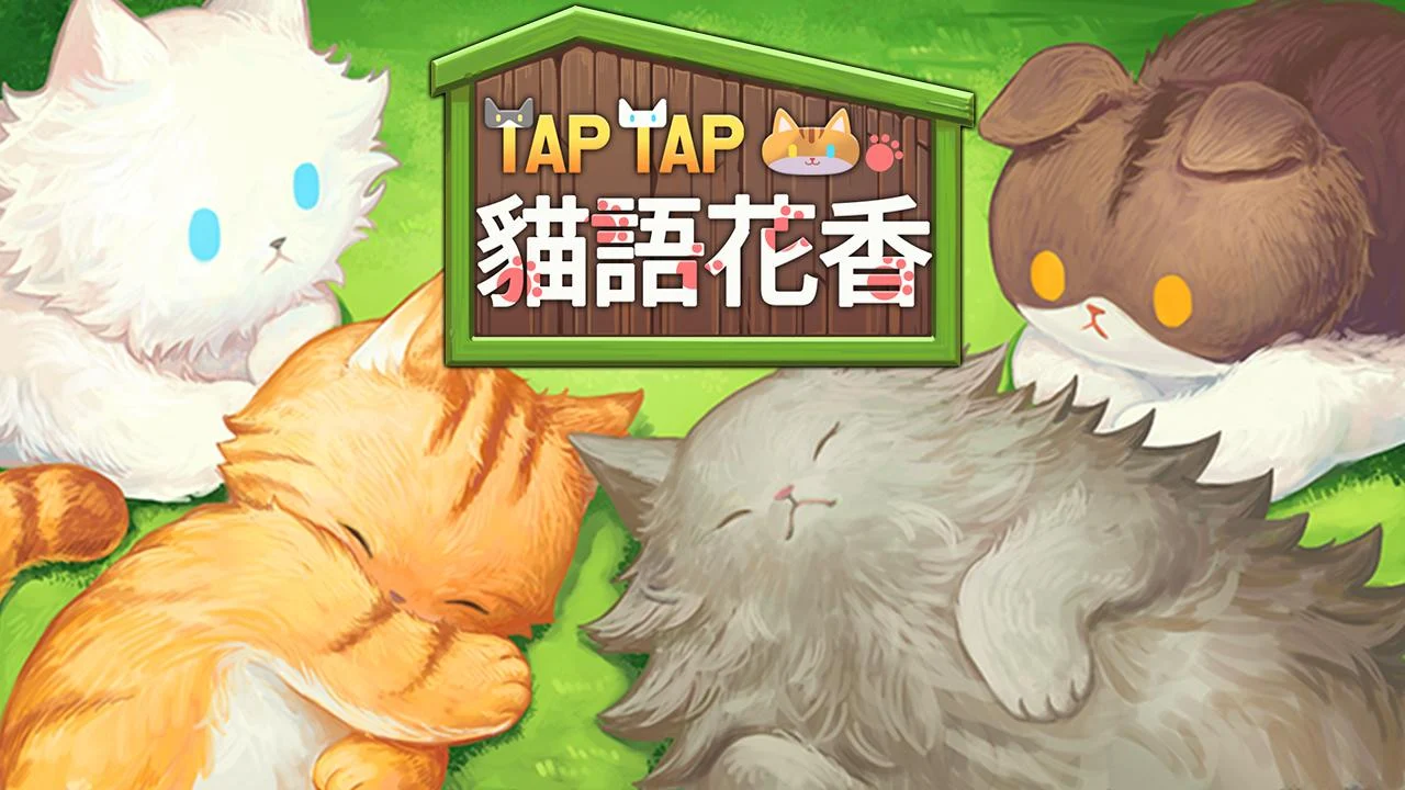 猫语花香 