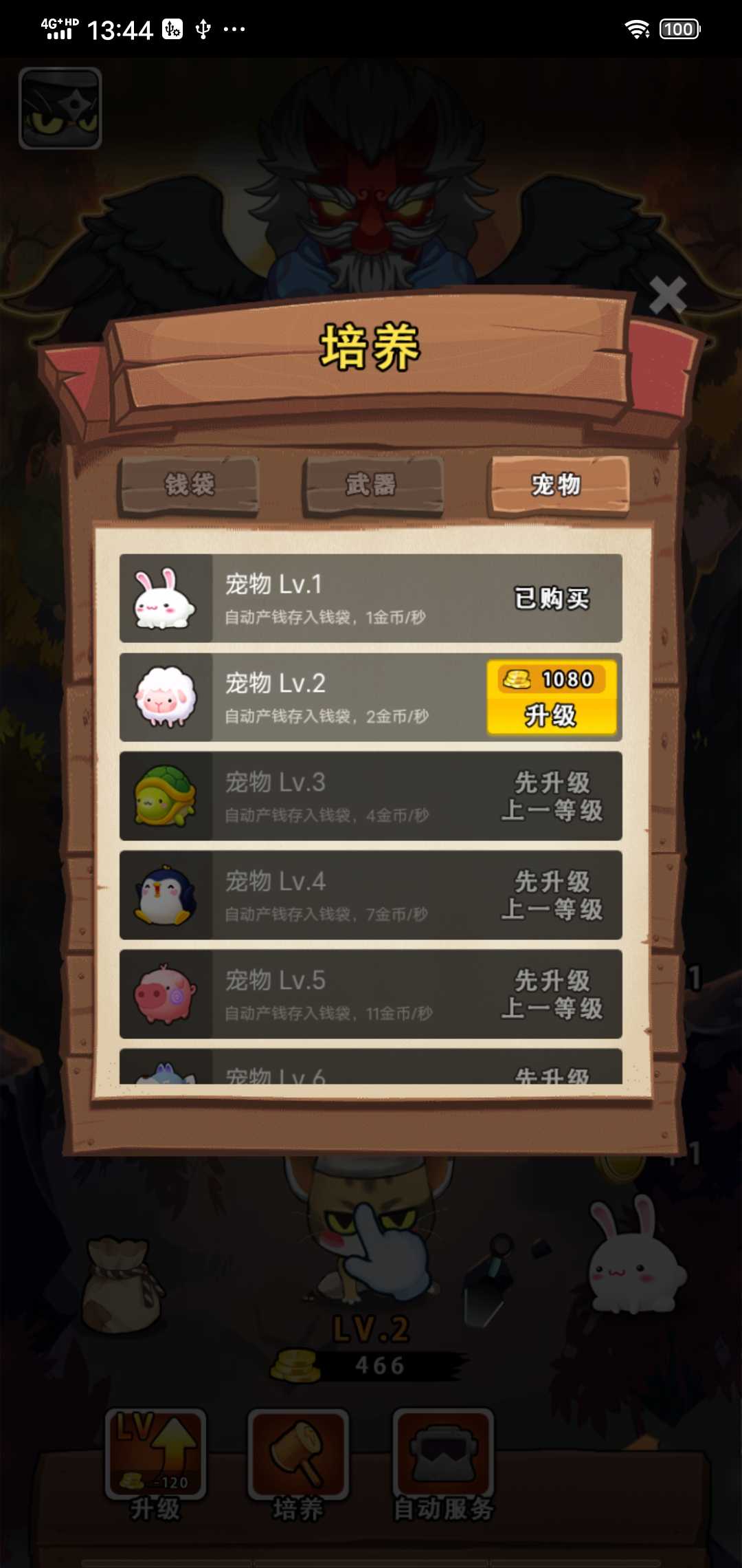 一只忍者猫