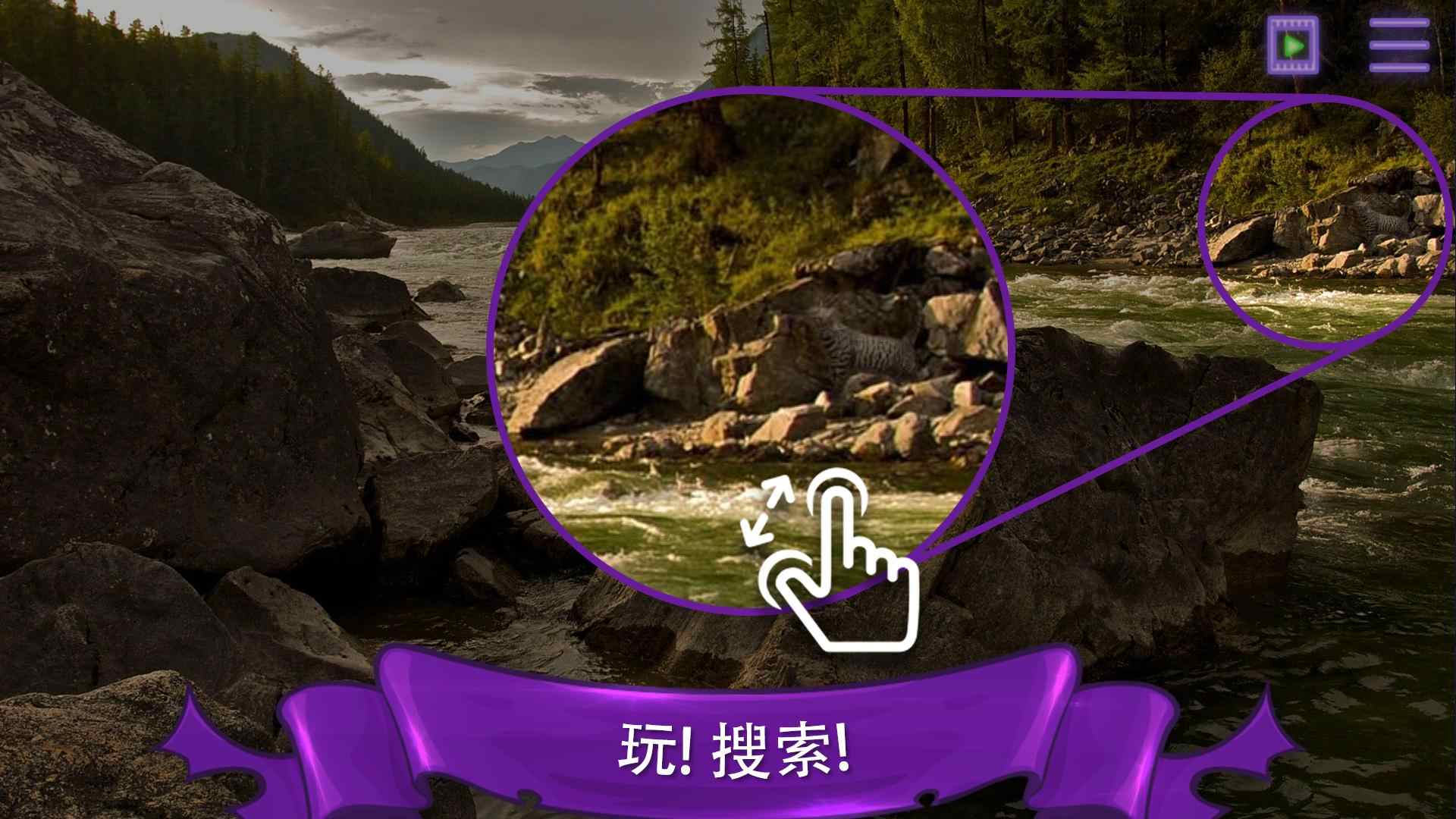 寻找猫：隐藏对象