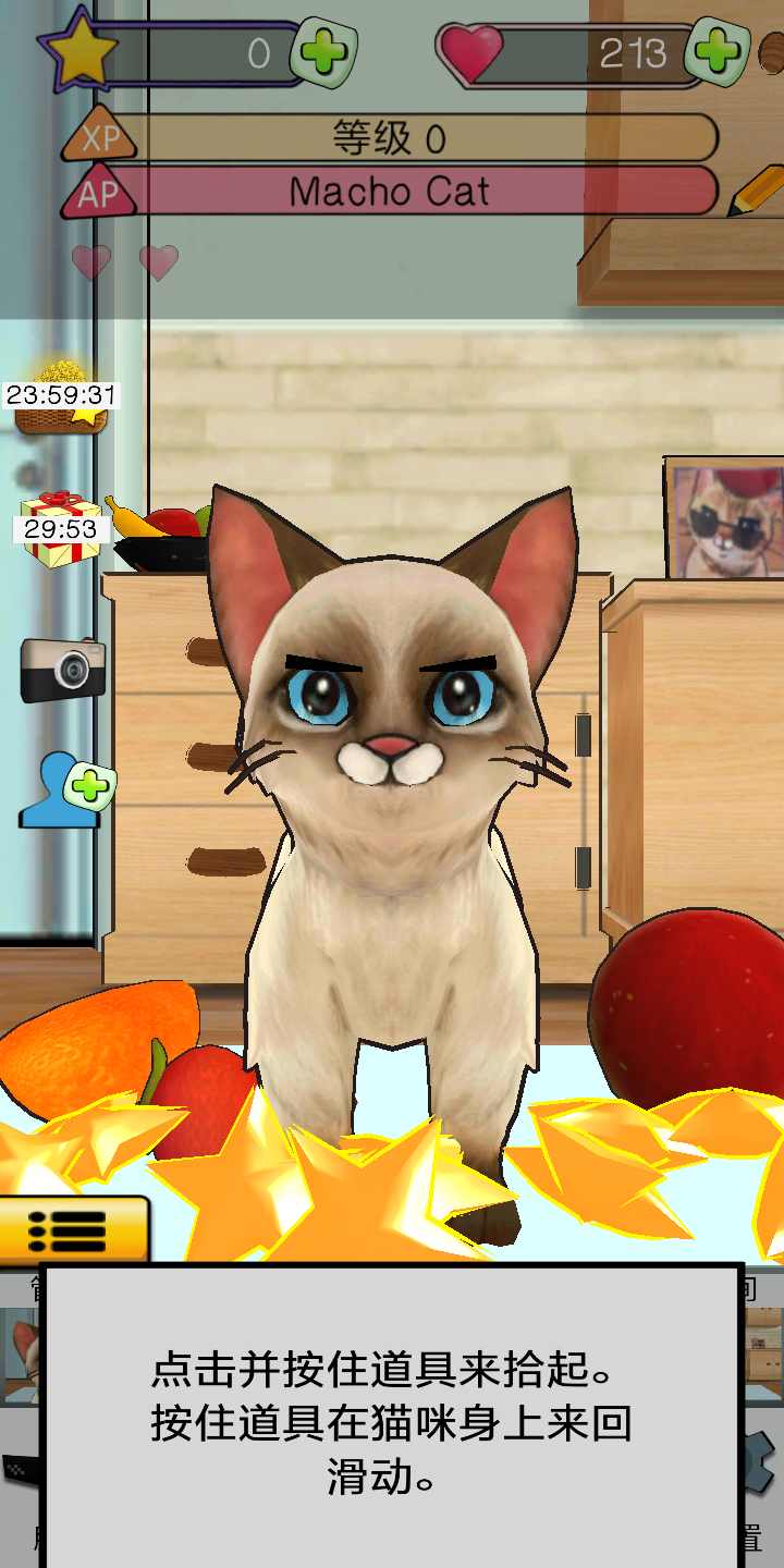 狂刷猫咪