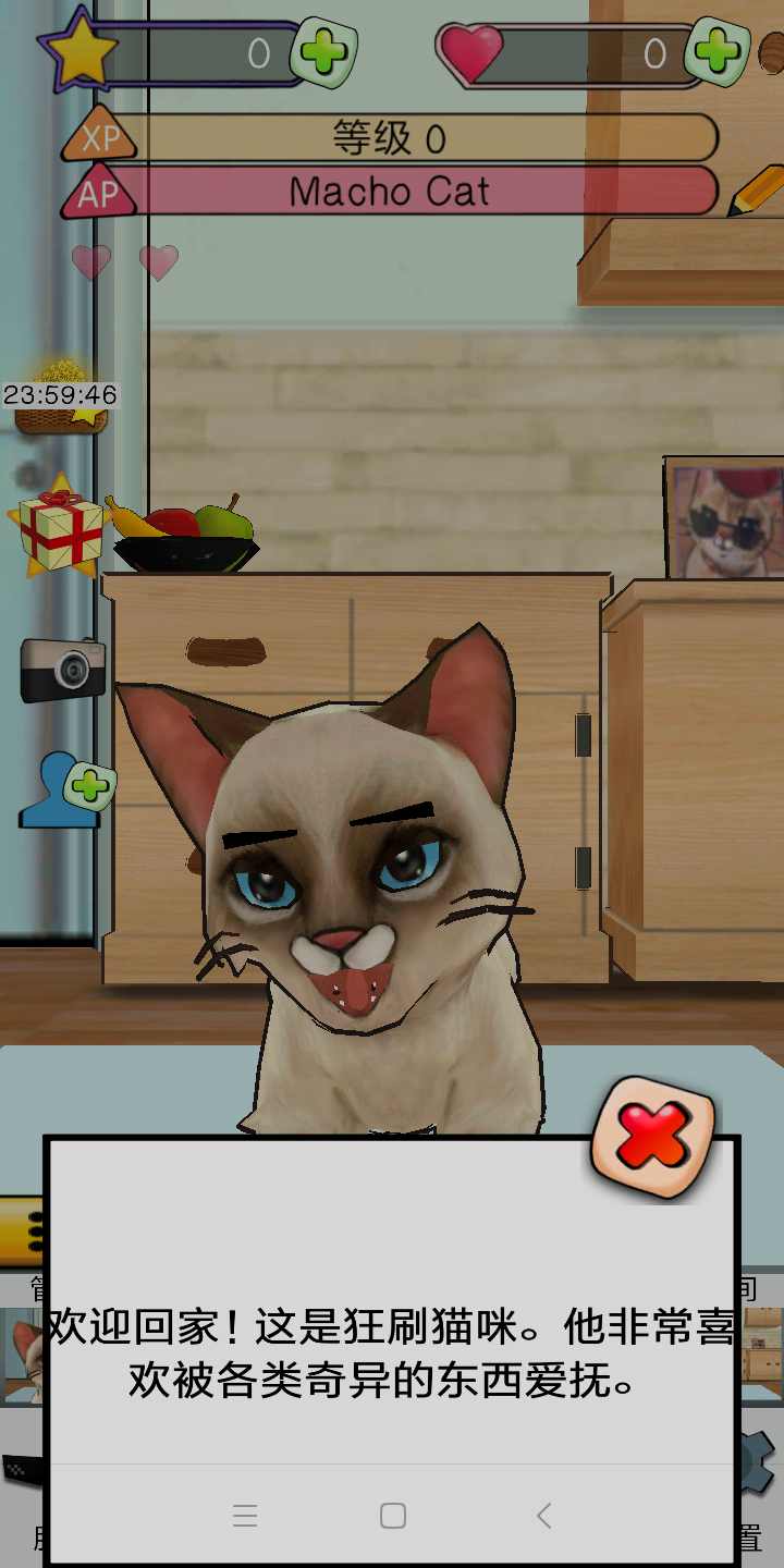 狂刷猫咪
