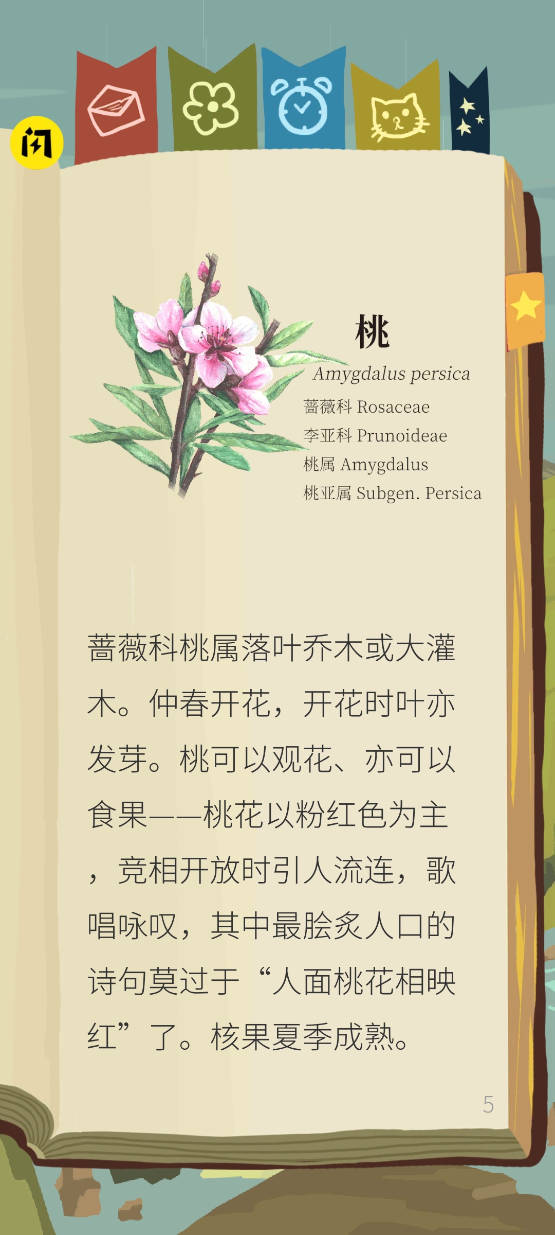 老农种树