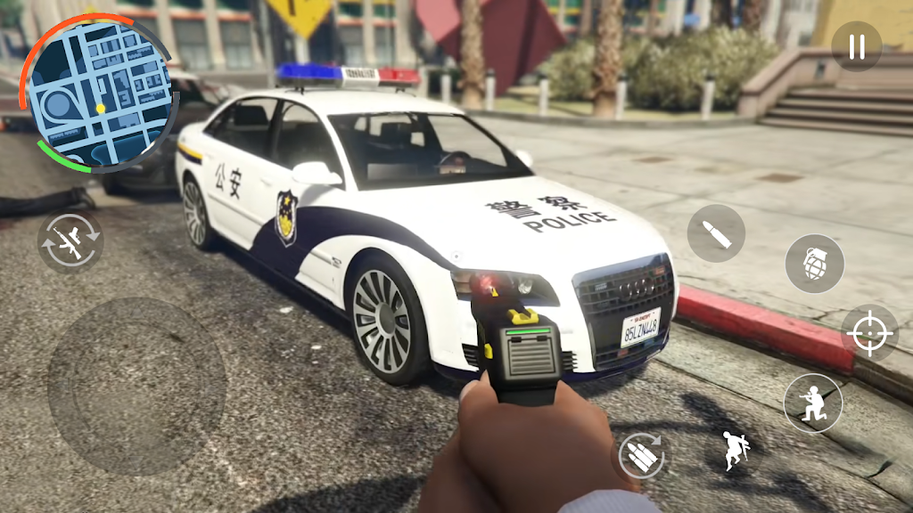 中国警察