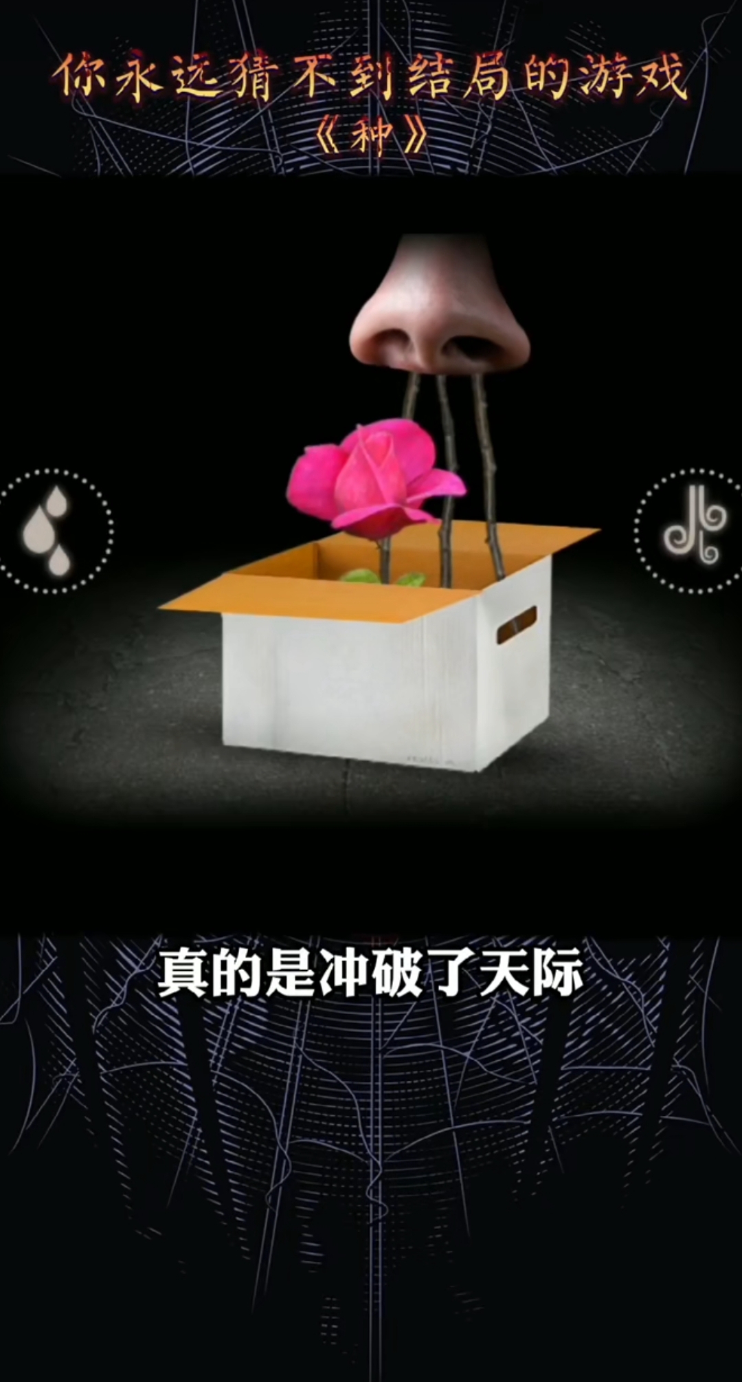 种