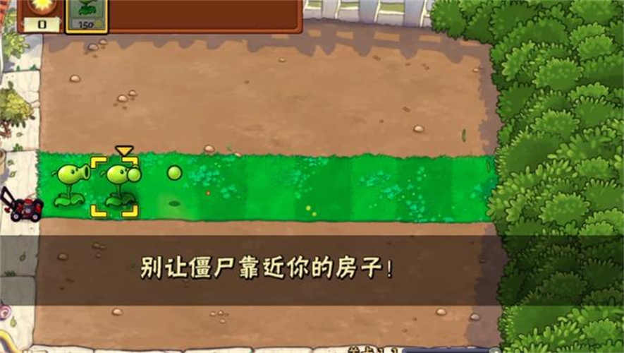 植物大战僵尸War版