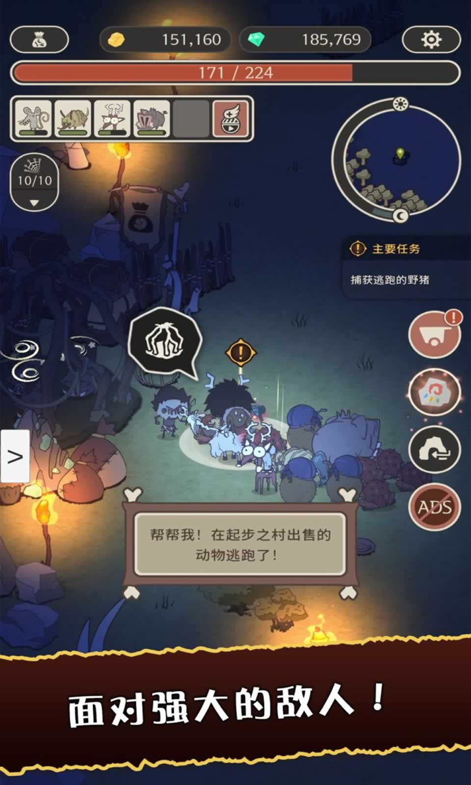 狂野驯兽师:新纪元