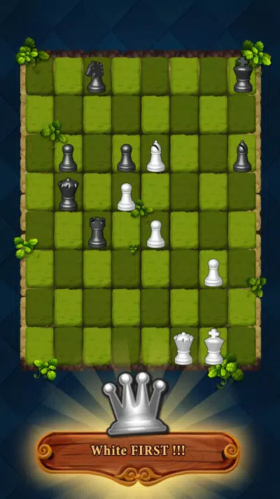 国际象棋比赛