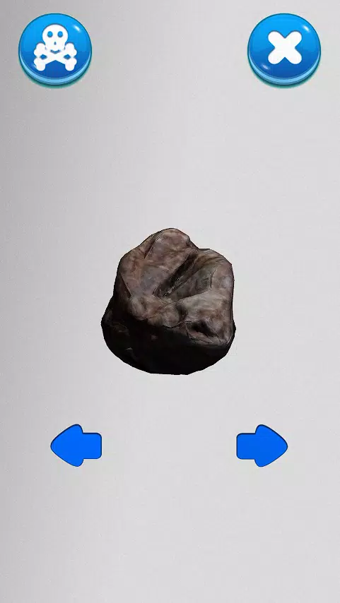 石头模拟器 石头模拟器