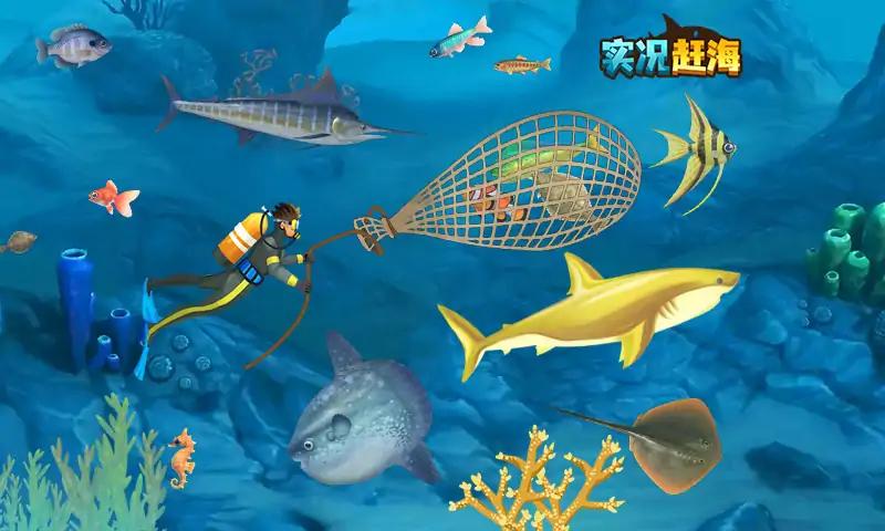 实况赶海