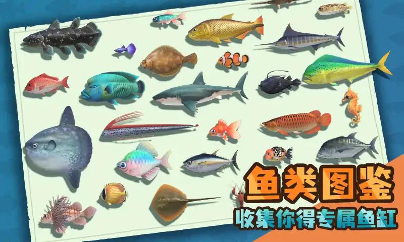 实况赶海