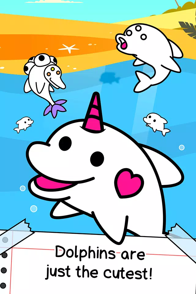 海豚的进化