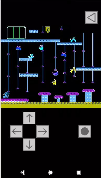 Arcade Kong Jr.2D