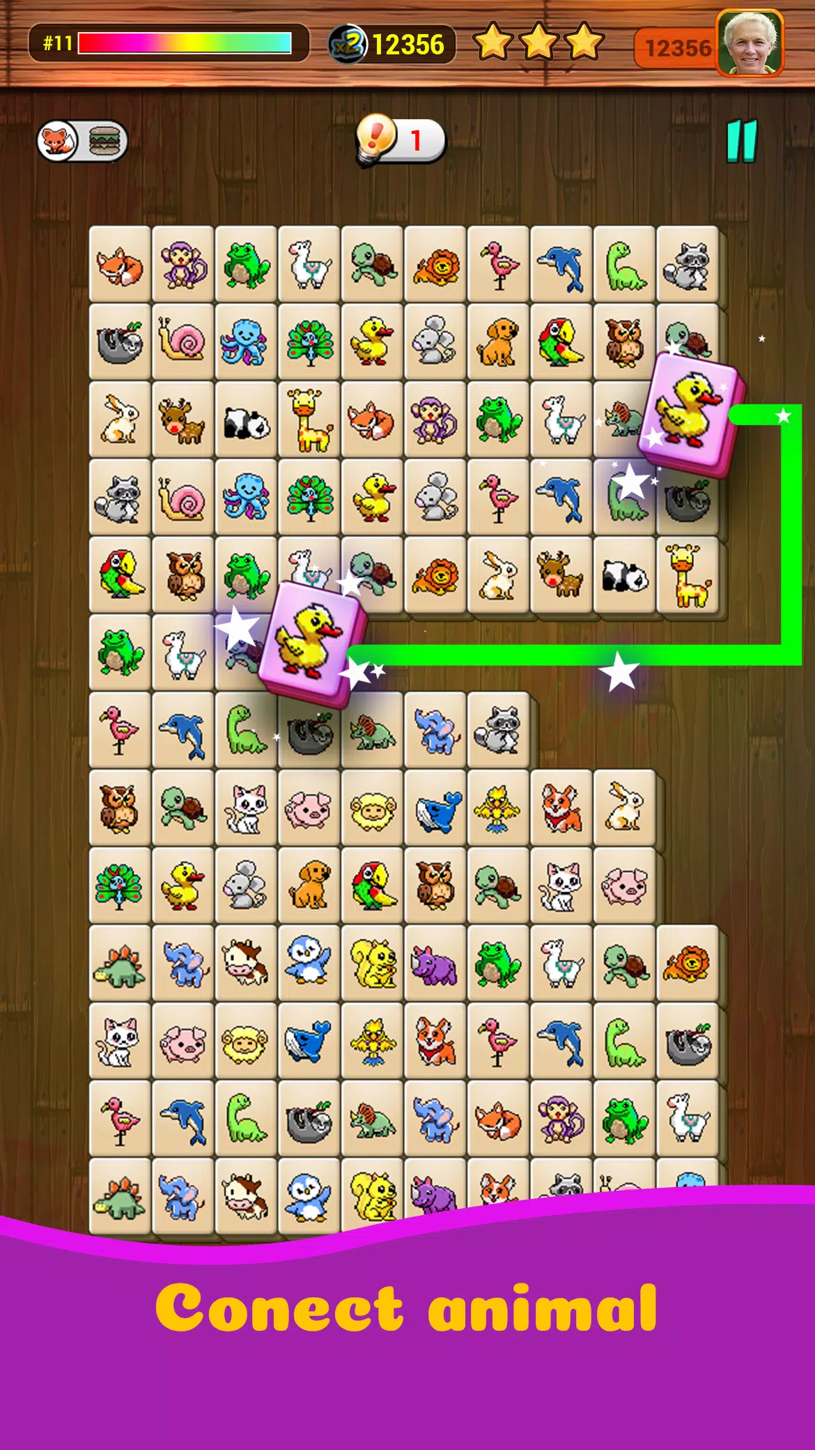 Onet X Connect匹配动物