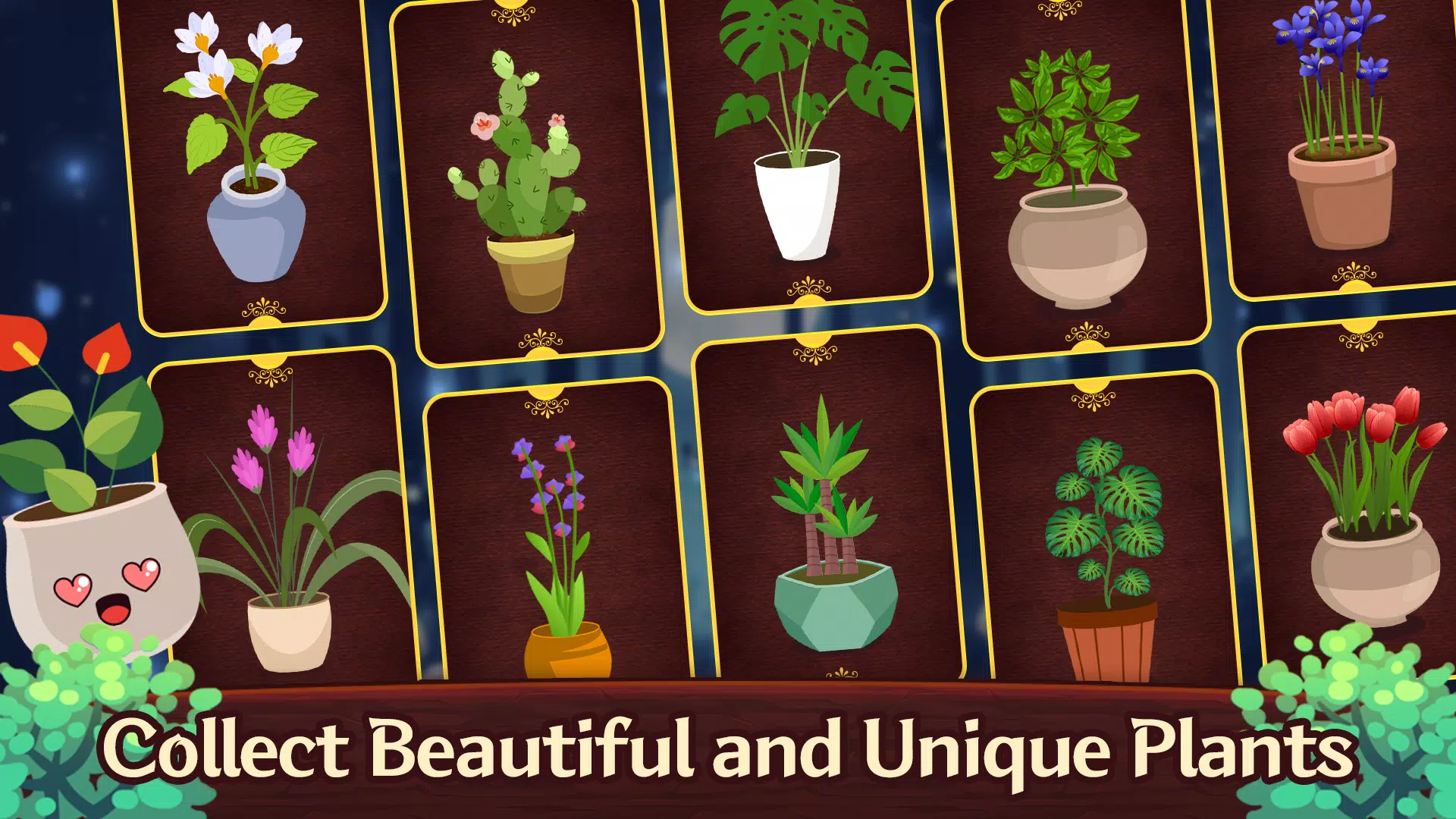 分拣球花园 分拣球花园