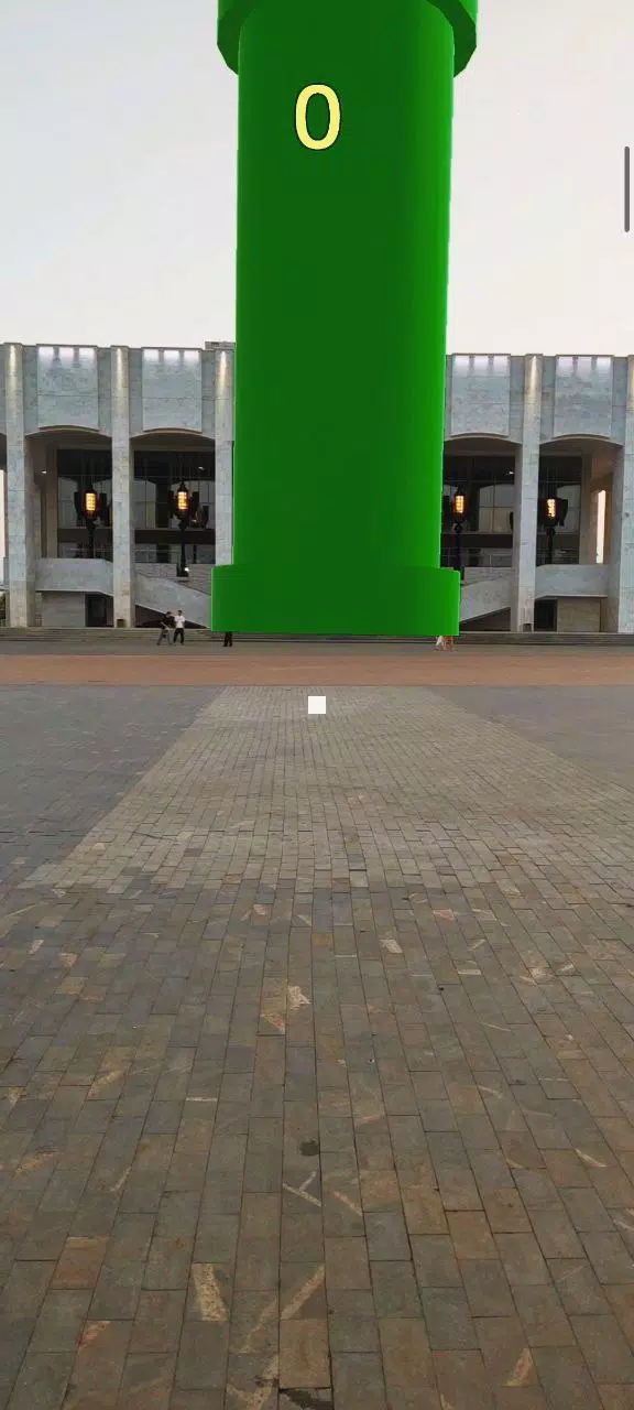 长笛鸟