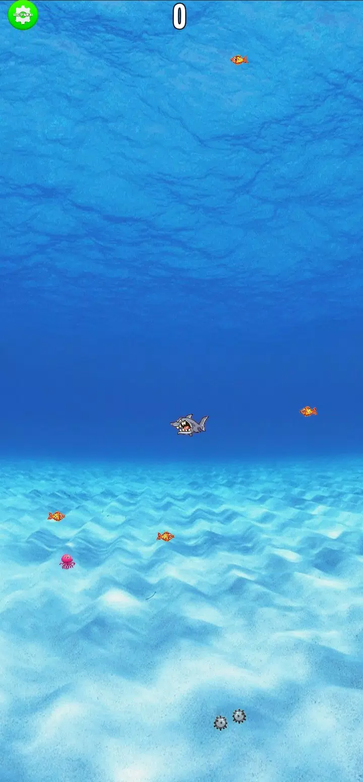 SmartUpShark