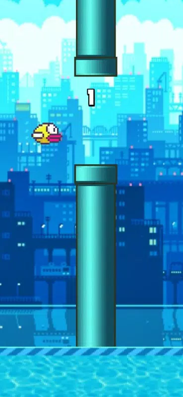夜鸟