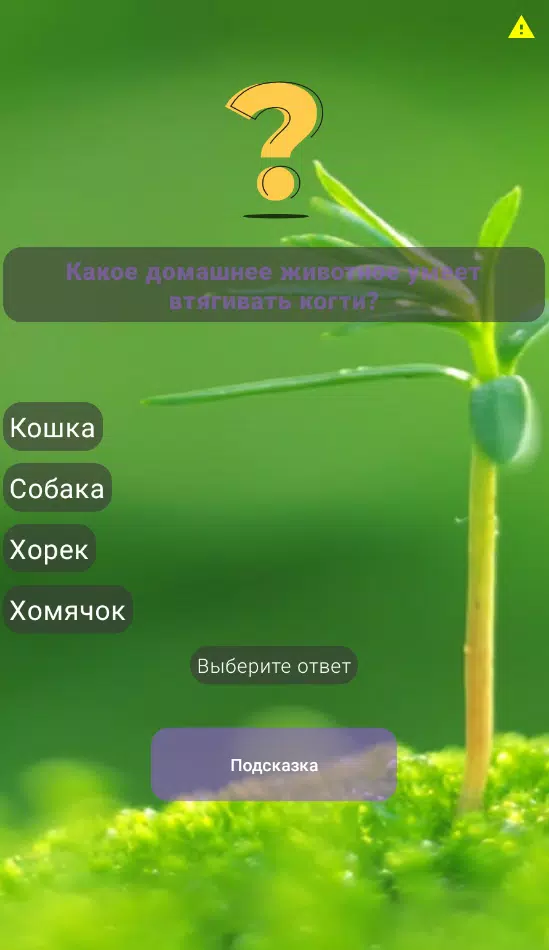 宠物测试