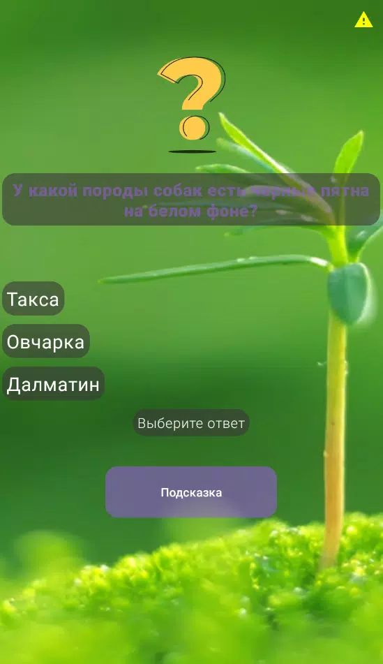 宠物测试