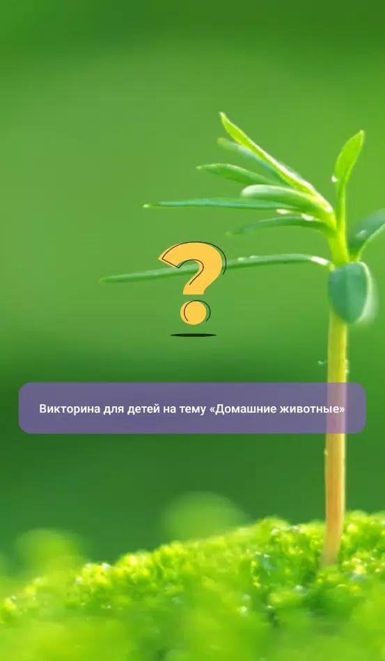 宠物测试