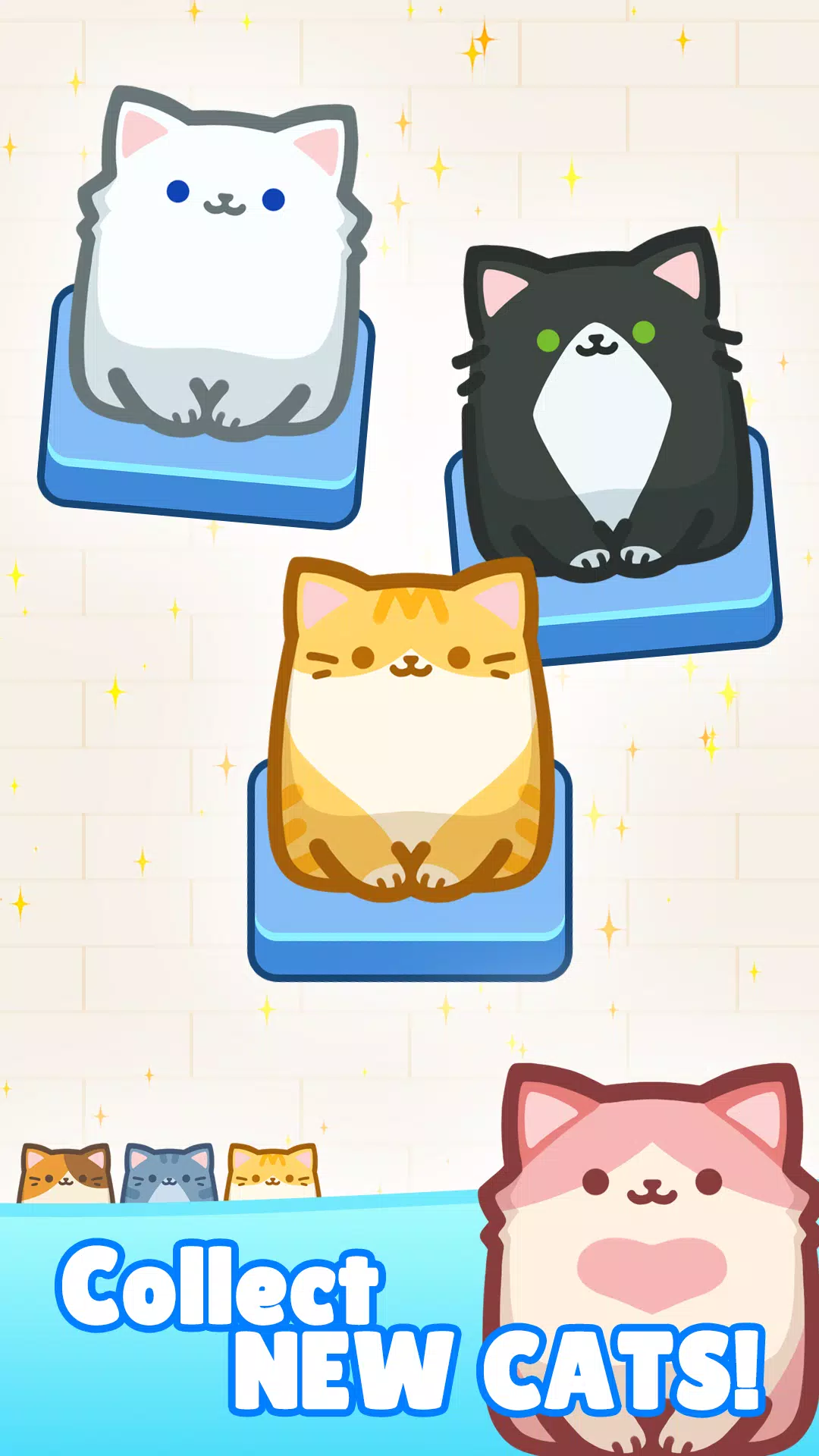 阻塞Cat堵塞