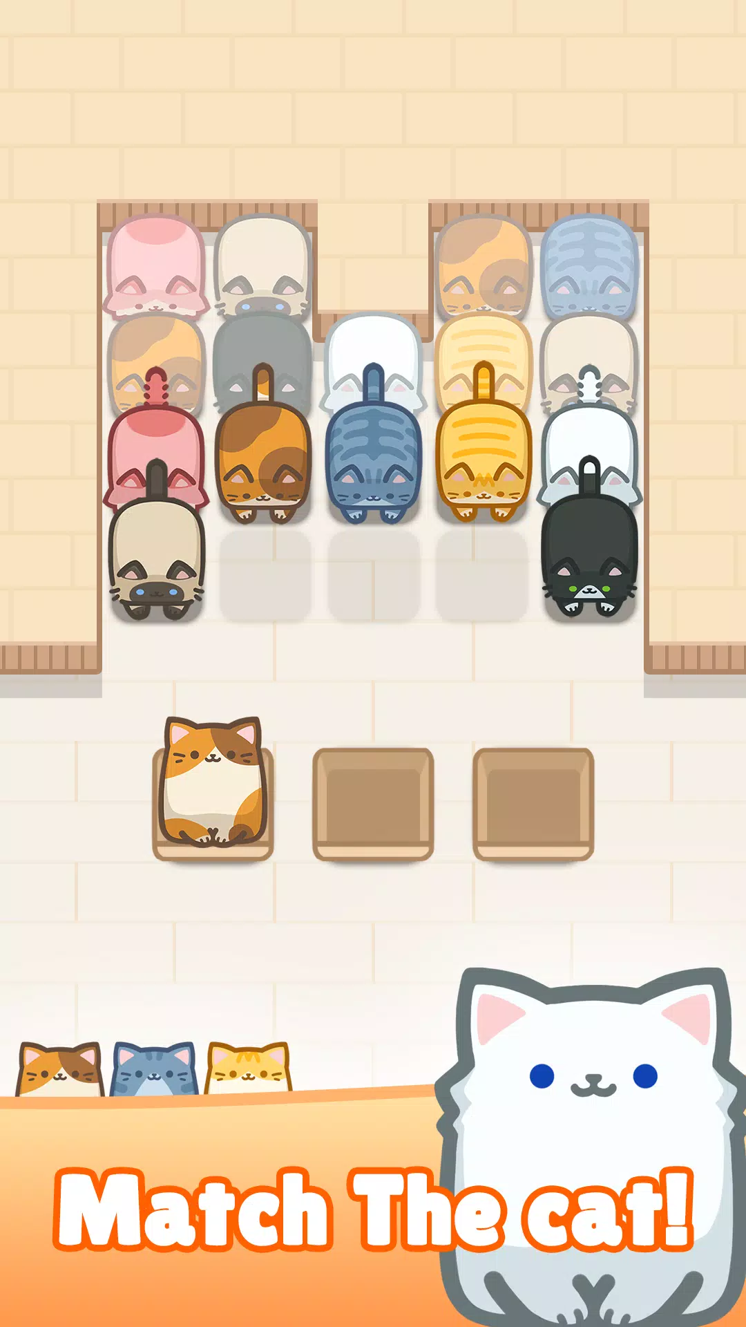 阻塞Cat堵塞