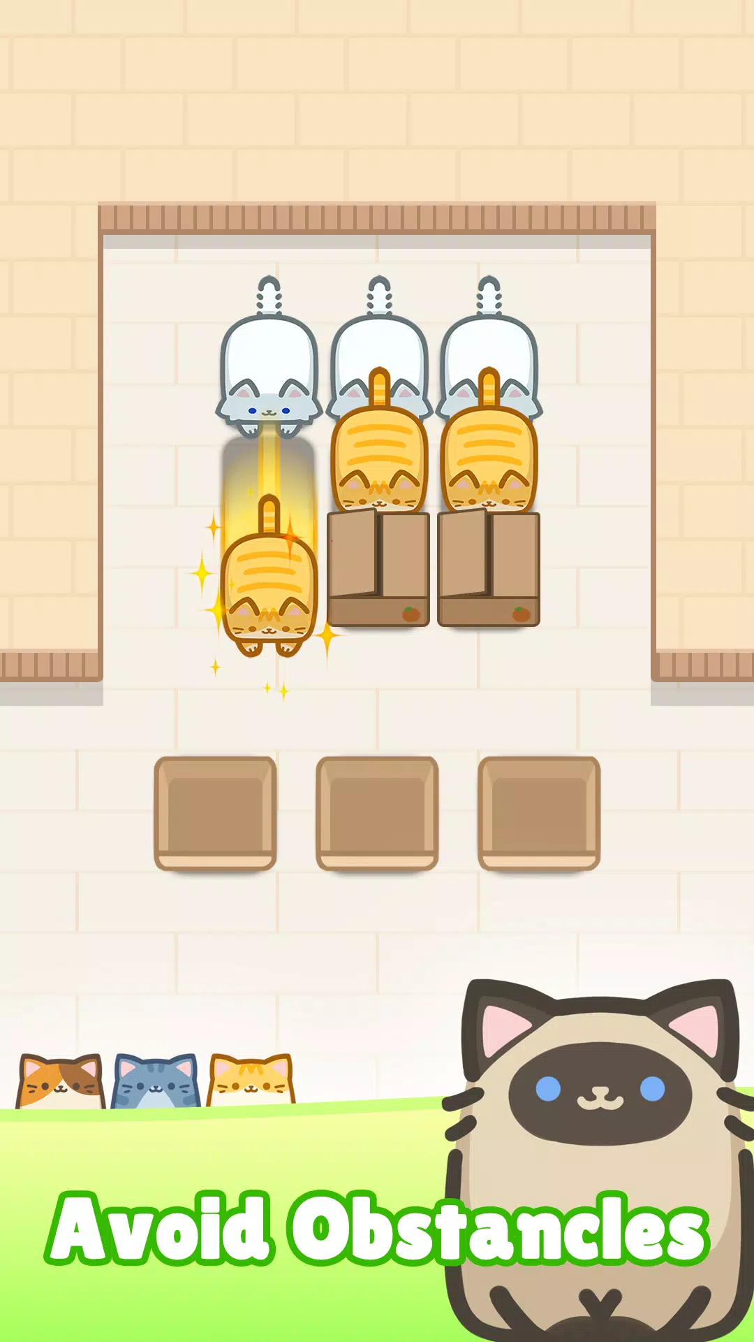 阻塞Cat堵塞