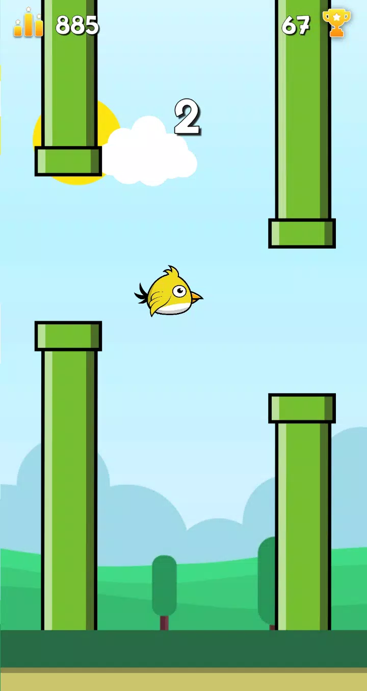 Flippy Bird