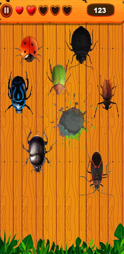 Bug Smasher：杀虫