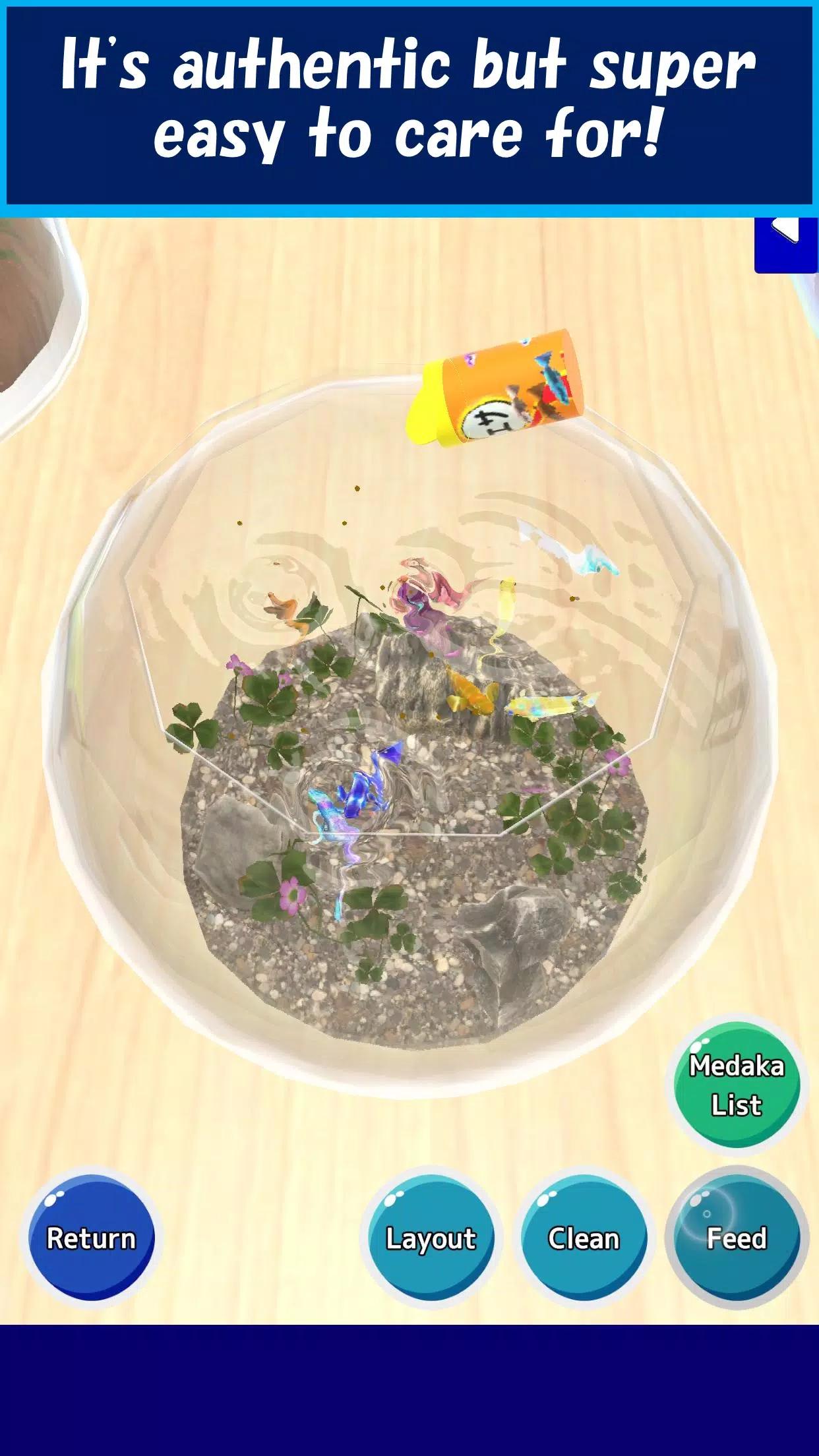 Medaka育种者