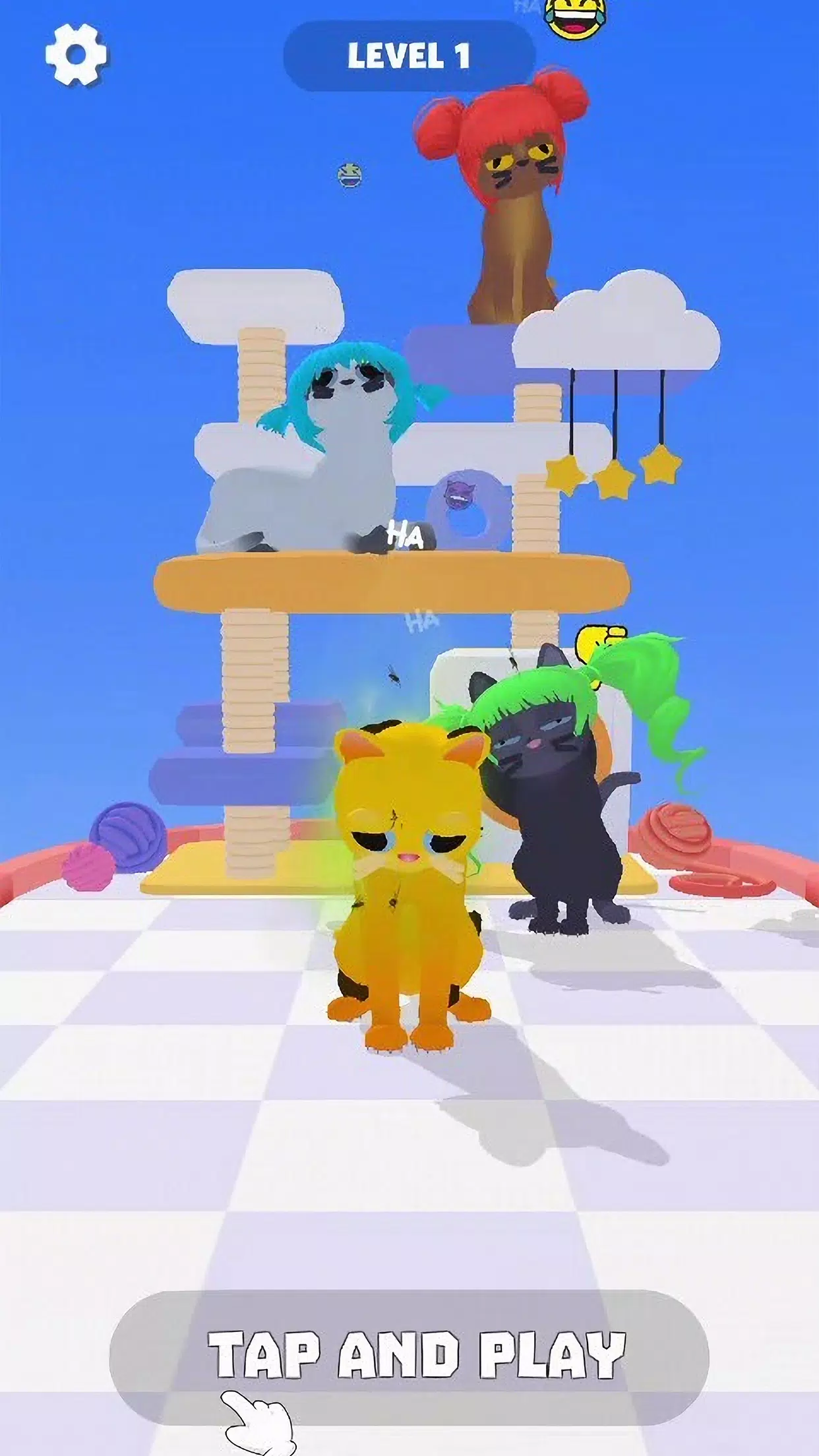 Cats Groomer Runner