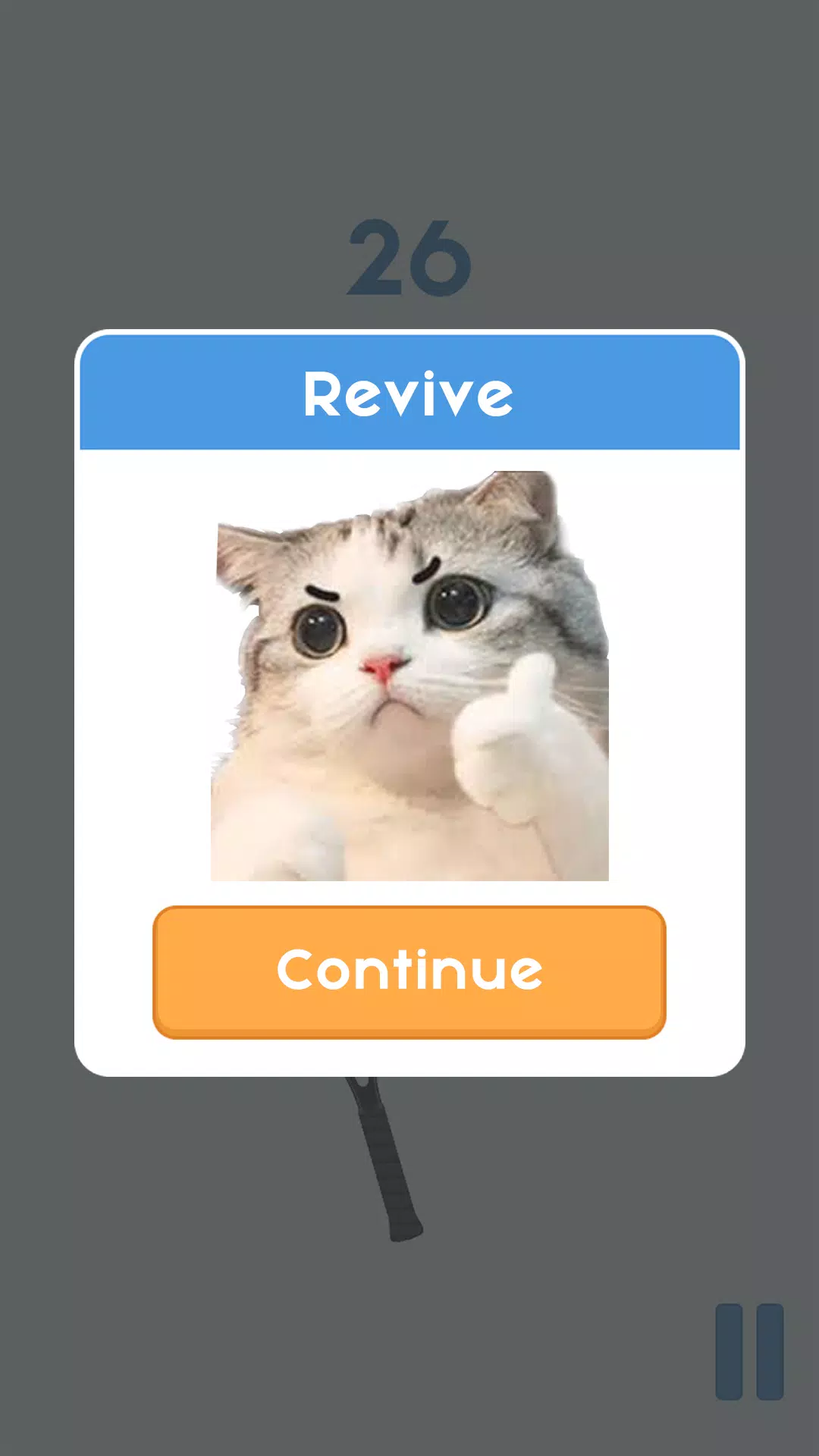 猫网球明星