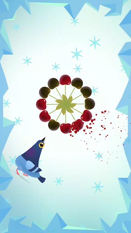 Pigeon Pop