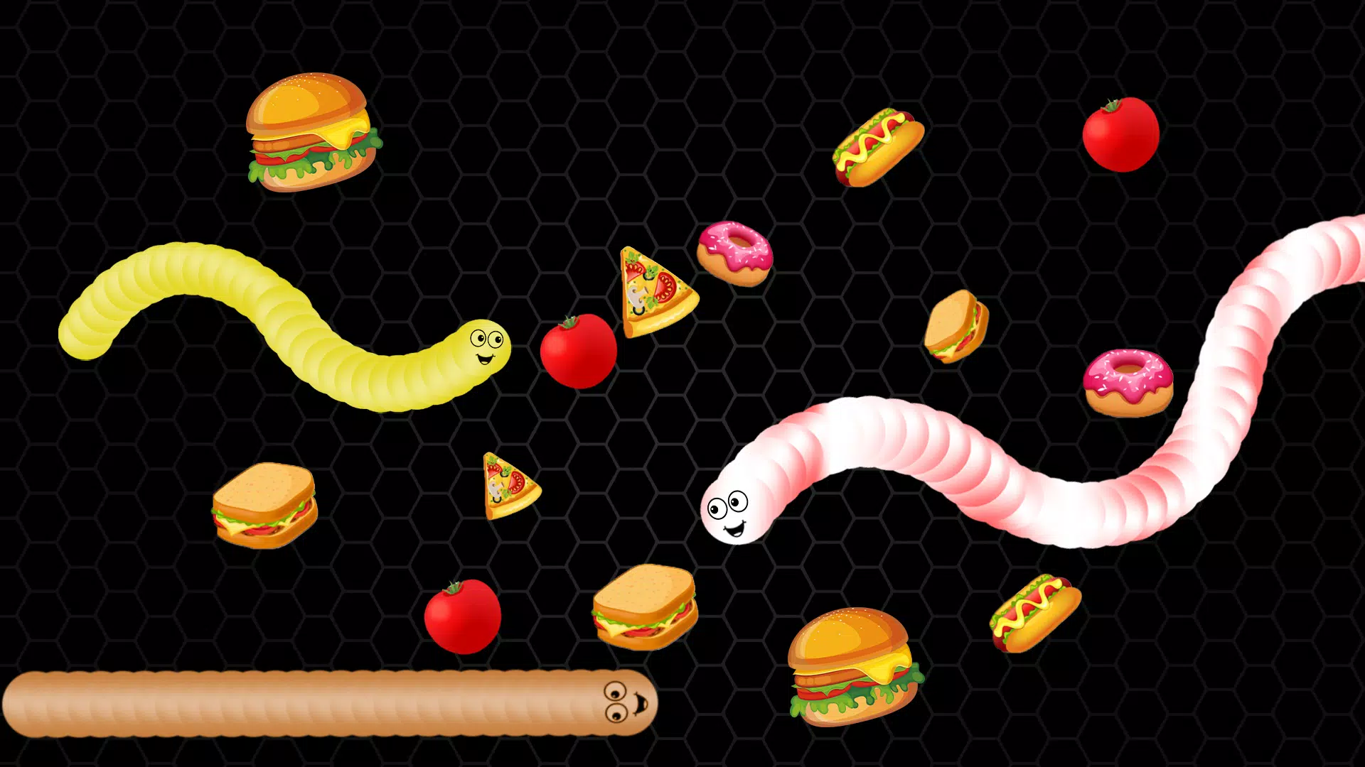 Snake Fun